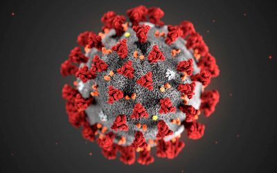 Coronavirus Update 🦠